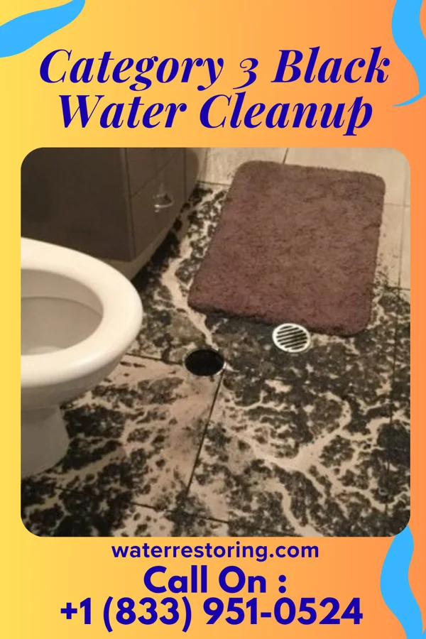 Category 3 Black Water Cleanup in Oretta, LA