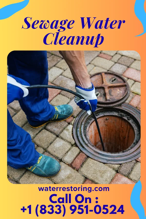 Sewage Water Cleanup in Oretta, LA
